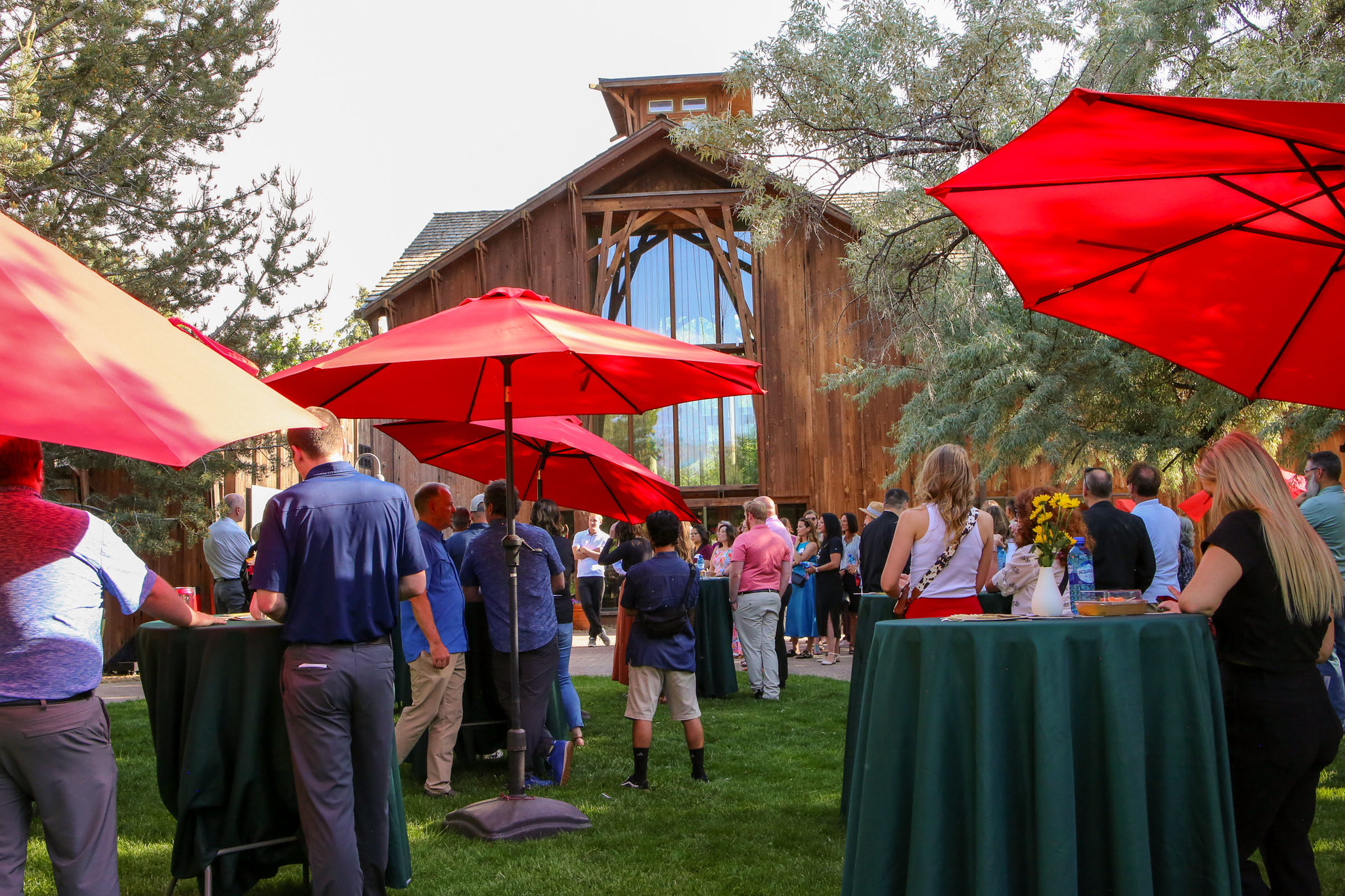 54585243820 fb6e87c551 k 1