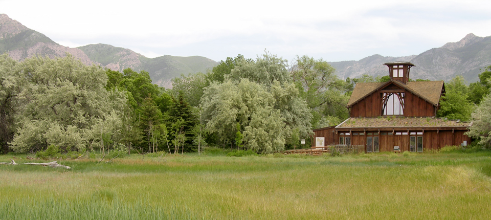 VisitorCenterGreenGrassescrop