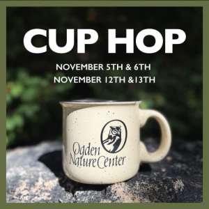 Cup Hop 2026