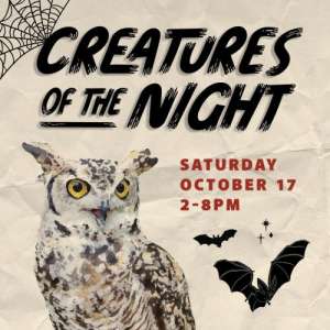 Creatures of the Night Creatures of the Night